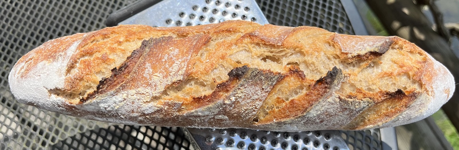A later demi baguette after Sicily, brought to bake in a cabin in the Georgia mountains