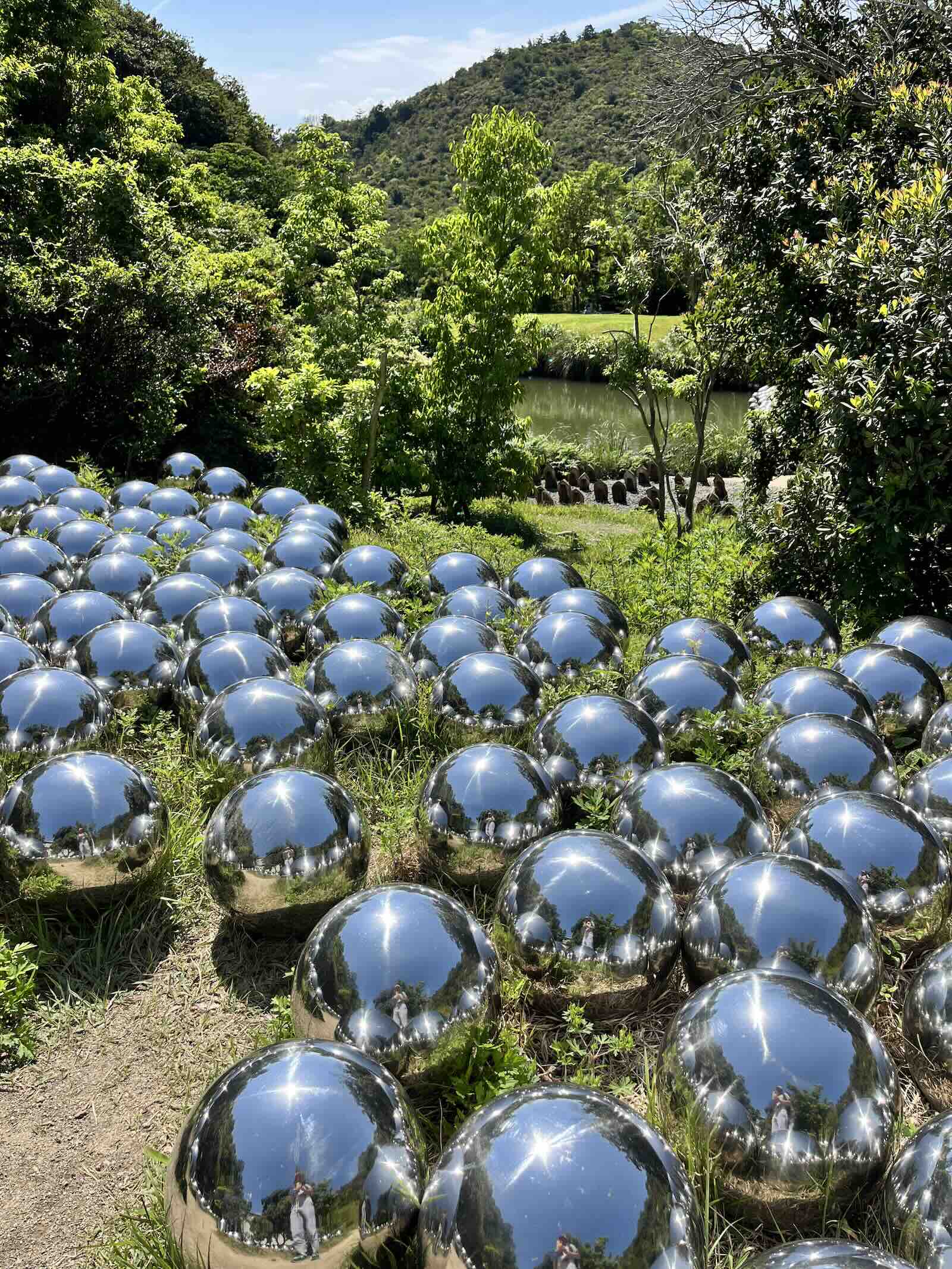 Narcissus Garden inspiration